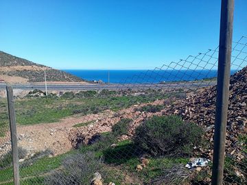 Venta de parcela de 5.000 m2, con dos casas, en La Serena.
