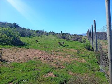 Venta de parcela de 5.000 m2, con dos casas, en La Serena.