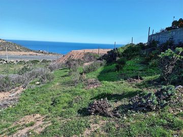 Venta de parcela de 5.000 m2, con dos casas, en La Serena.