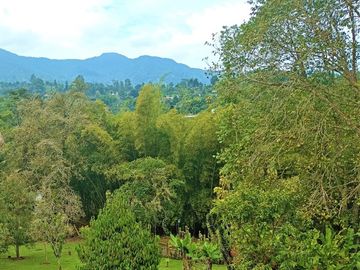 Finca En Venta Km27 Conjunto Ambichinte - Dagua