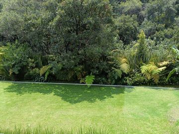CASA EN VENTA EN HERMOSO FRACCIONAMIENTO ARBOLADO