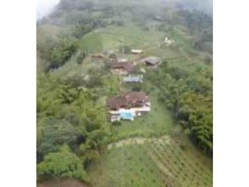 FINCA EN VENTA EN VENECIA ANTIOQUIA SUR OCCIDENTE ANTIOQUEÑO