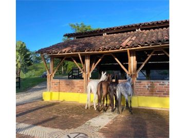 FINCA EN VENTA EN VENECIA ANTIOQUIA SUR OCCIDENTE ANTIOQUEÑO