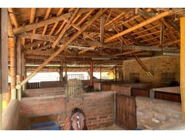 FINCA EN VENTA EN VENECIA ANTIOQUIA SUR OCCIDENTE ANTIOQUEÑO