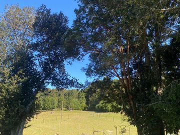 Parcela en venta en LAGO RANCO