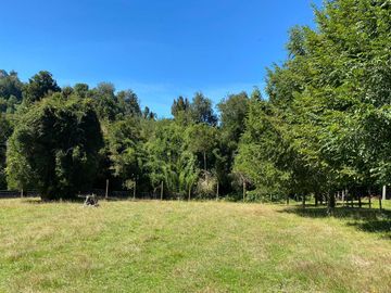 Parcela en venta en LAGO RANCO