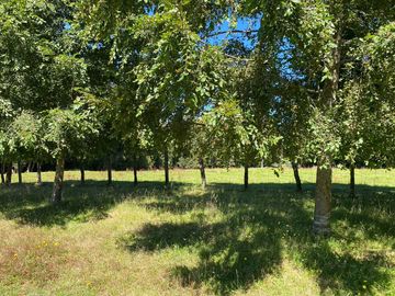 Parcela en venta en LAGO RANCO