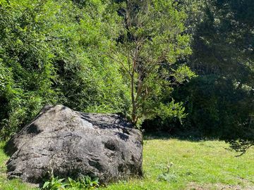 Parcela en venta en LAGO RANCO