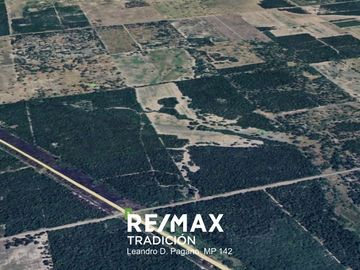 Campo 100 ha apto ganaderia  J.J. Castelli Ruta 95