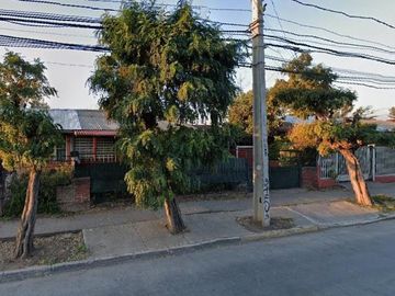 SE VENE EL BOSQUE