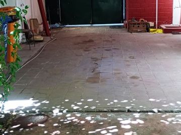SE VENE EL BOSQUE