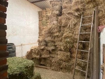 Renta casa tipo rancho