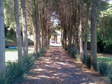 Renta casa tipo rancho