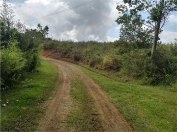 Parcelación el Bosque - Una Vida Conectada con la Naturaleza-El Carmen