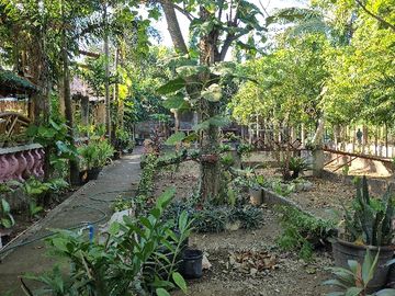 Highly Income Generating Properties For Sale!!!
