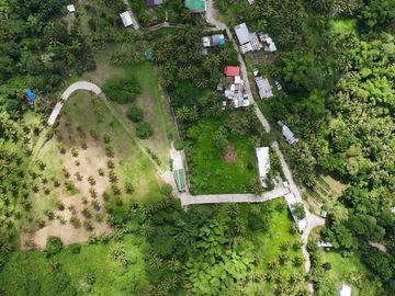 2.3 Hectares Property for Sale at Valencia Negros Oriental