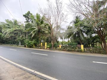D Yellow House Resort FOR SALE in Agdangan, Quezon