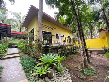 D Yellow House - Income Generating Resort FOR SALE in Quezon Province