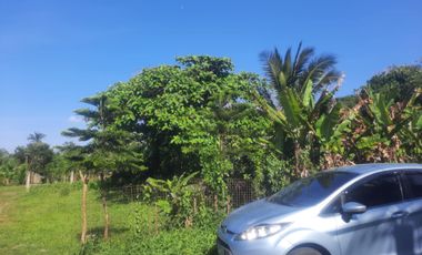 16.7 Hectare Lot in Mahabangkahoy Lejos, Indang Cavite for SALE! P3,500 per sqm