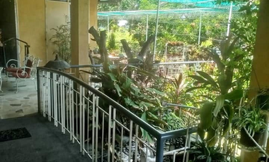992sqm House and Lot Near Trinity College in New Manila, Quezon City