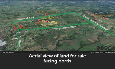Hacienda Marvi, 45.53 Hectares Lot FOR SALE in Silay, Negros Occidental