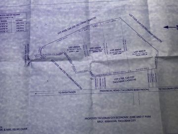 For Sale 16-Hectares Lot in Tacloban Ideal for Processing Zone, Tacloban City