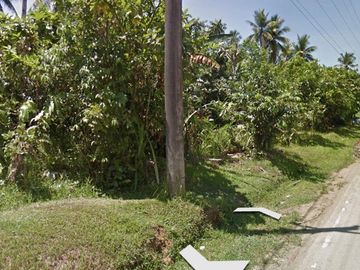 For Sale 16-Hectares Lot in Tacloban Ideal for Processing Zone, Tacloban City