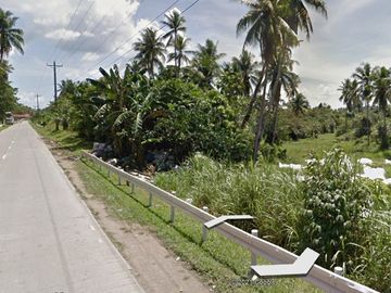 For Sale 16-Hectares Lot in Tacloban Ideal for Processing Zone, Tacloban City