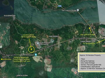 For Sale 16-Hectares Lot in Tacloban Ideal for Processing Zone, Tacloban City