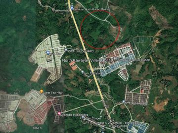 For Sale 16-Hectares Lot in Tacloban Ideal for Processing Zone, Tacloban City