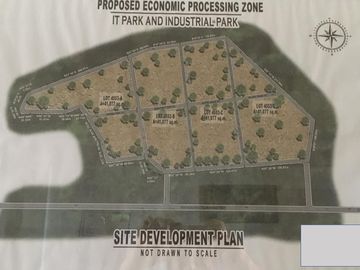 For Sale 16-Hectares Lot in Tacloban Ideal for Processing Zone, Tacloban City