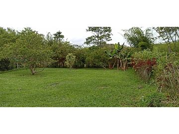 Finca de recreo plana con piscina en El Peñol.