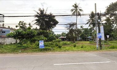 3,840 sqm Commercial Lot Fronting Elementary School for Sale - Danao, Panglao, Bohol