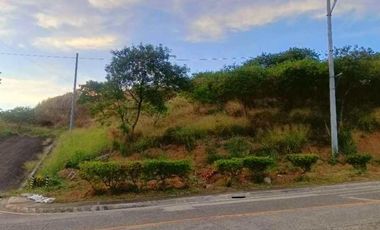 598 sqm Residential Lot with Mountain View FOR SALE in Sun Valley, Antipolo