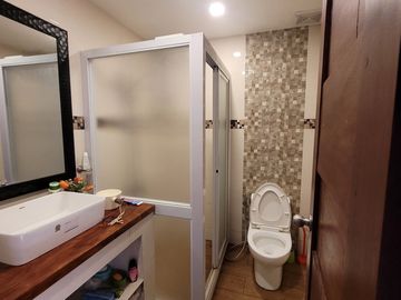 4 BR MODERN FAMILY HOUSE AND LOT WITH SHADED GARAGE