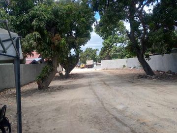 ISTANA SANTOL TANZA
