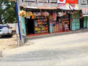 ISTANA SANTOL TANZA