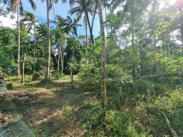 3.6HAS FARMLOT WITH 2 STOREY AND BUNGALOW HOUSE