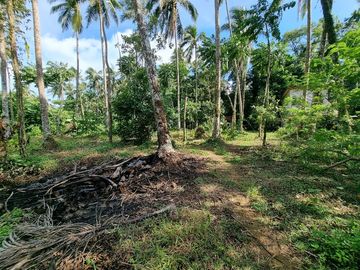 3.6HAS FARMLOT WITH 2 STOREY AND BUNGALOW HOUSE