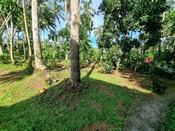 3.6HAS FARMLOT WITH 2 STOREY AND BUNGALOW HOUSE