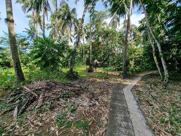 3.6HAS FARMLOT WITH 2 STOREY AND BUNGALOW HOUSE