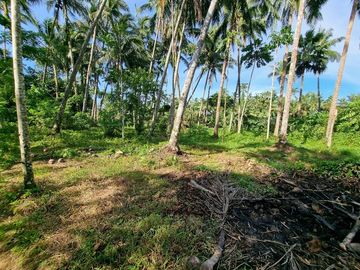 3.6HAS FARMLOT WITH 2 STOREY AND BUNGALOW HOUSE