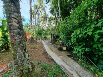 3.6HAS FARMLOT WITH 2 STOREY AND BUNGALOW HOUSE