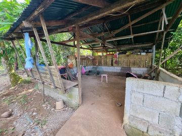 3.6HAS FARMLOT WITH 2 STOREY AND BUNGALOW HOUSE