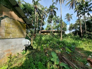 3.6HAS FARMLOT WITH 2 STOREY AND BUNGALOW HOUSE
