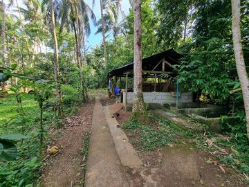 3.6HAS FARMLOT WITH 2 STOREY AND BUNGALOW HOUSE