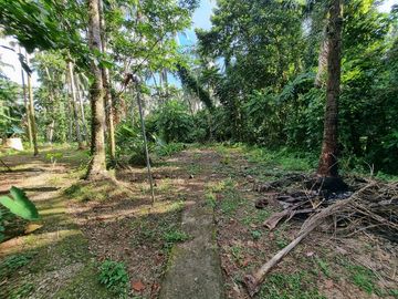 3.6HAS FARMLOT WITH 2 STOREY AND BUNGALOW HOUSE