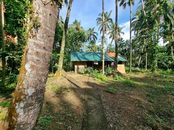 3.6HAS FARMLOT WITH 2 STOREY AND BUNGALOW HOUSE