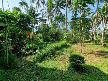 3.6HAS FARMLOT WITH 2 STOREY AND BUNGALOW HOUSE