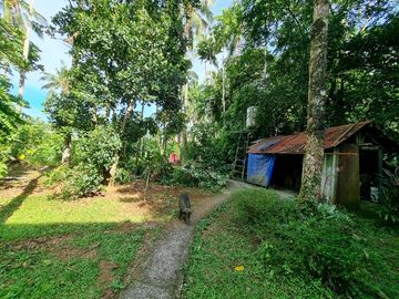 3.6HAS FARMLOT WITH 2 STOREY AND BUNGALOW HOUSE